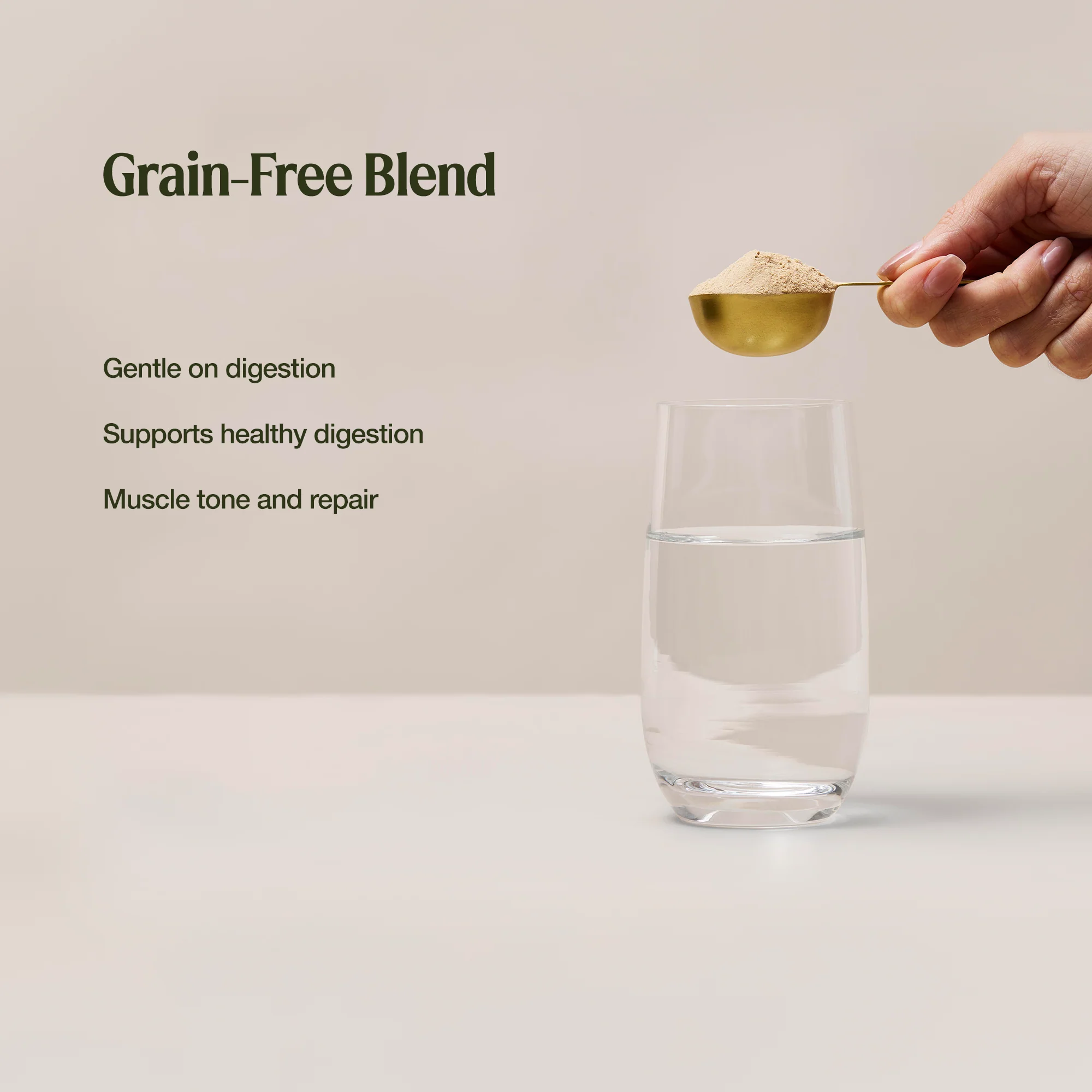 Gentle Digest Protein Chocolate - Image 4