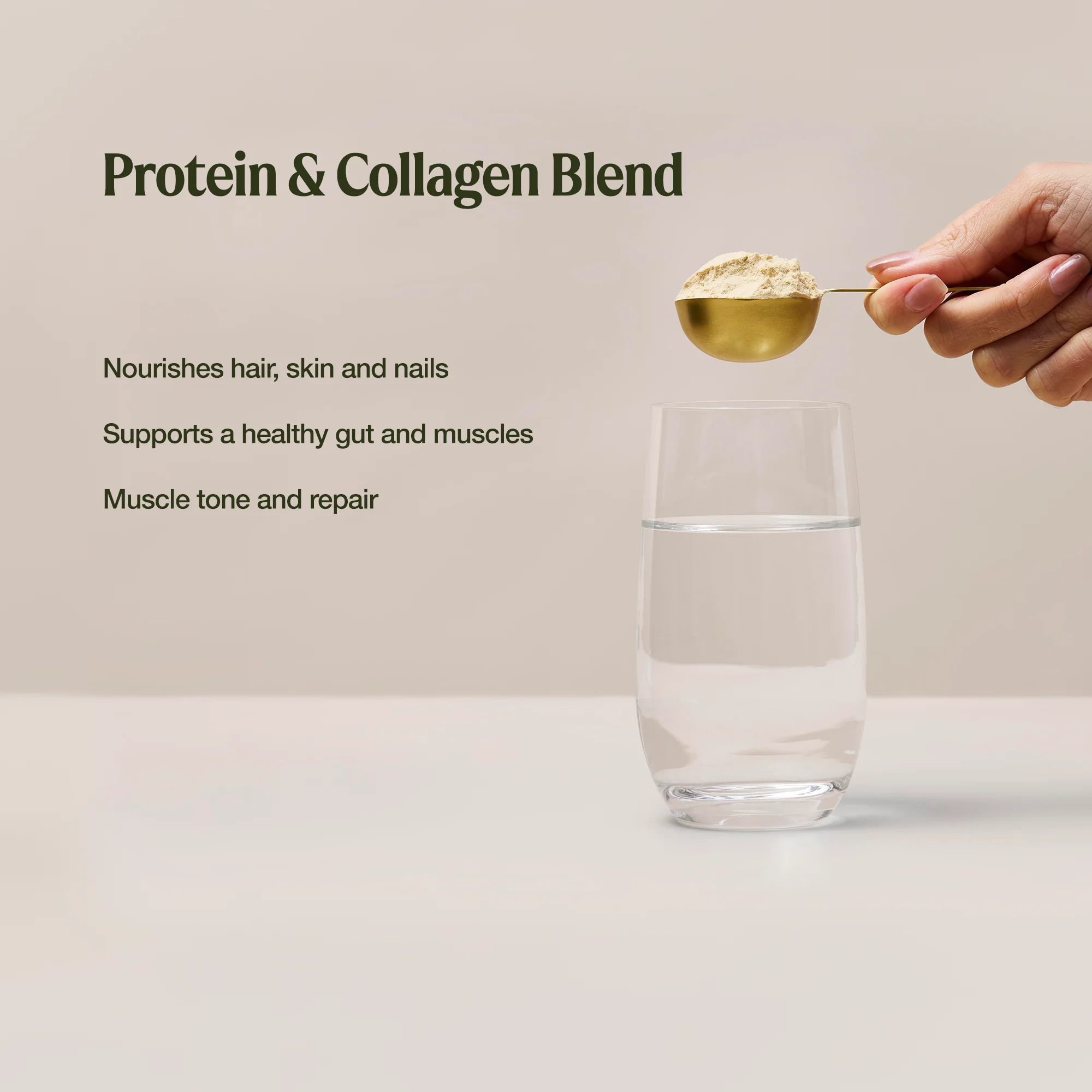Collagen Plus Protein Choc Hazelnut - Image 3